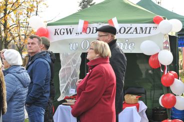 Jarmarkiem Świętomarcińskim uczcili w Widawie dzień 11 listopada